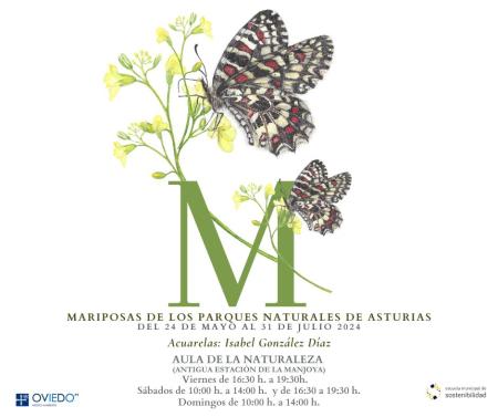 Escuela de Sostenibilidad: Mariposas de los parques naturales de Asturias (exposición de acuarelas)