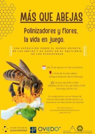 Exposición "Más que abejas: polinizadores y flores, la vida en juego"